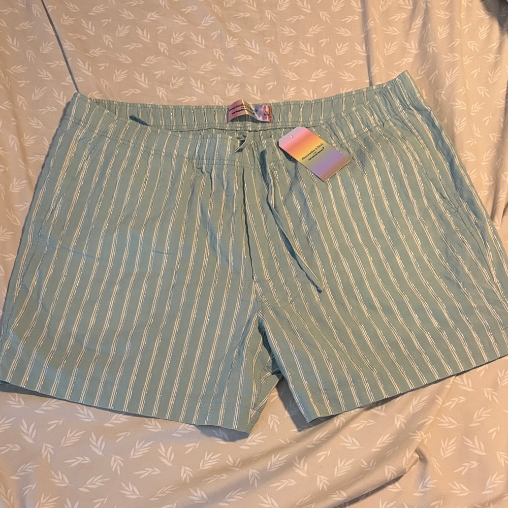 Men’s Abercrombie Light Green Stripe Pride Drawstring Shorts - XL NWT